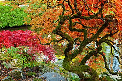 《骑马与砍杀2》海战资料片情报公布 细节丰富度超预期