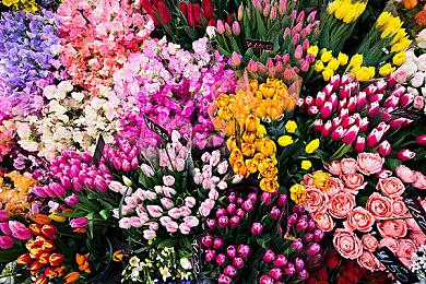 《神之亵渎2》实体典藏版公布 售价700元2024年春发售