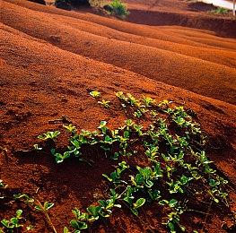 Steam Deck五月最热游戏榜单 《黑帝斯2》登顶